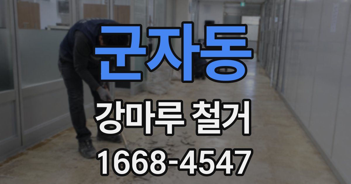 군자동 강마루 철거