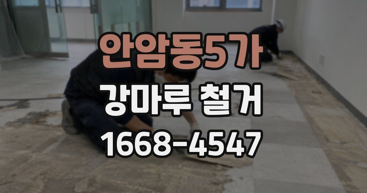 안암동5가 강마루 철거