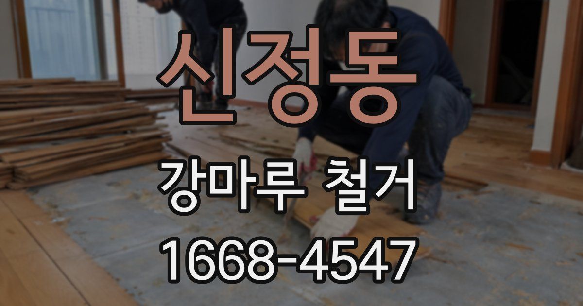 신정동 강마루 철거