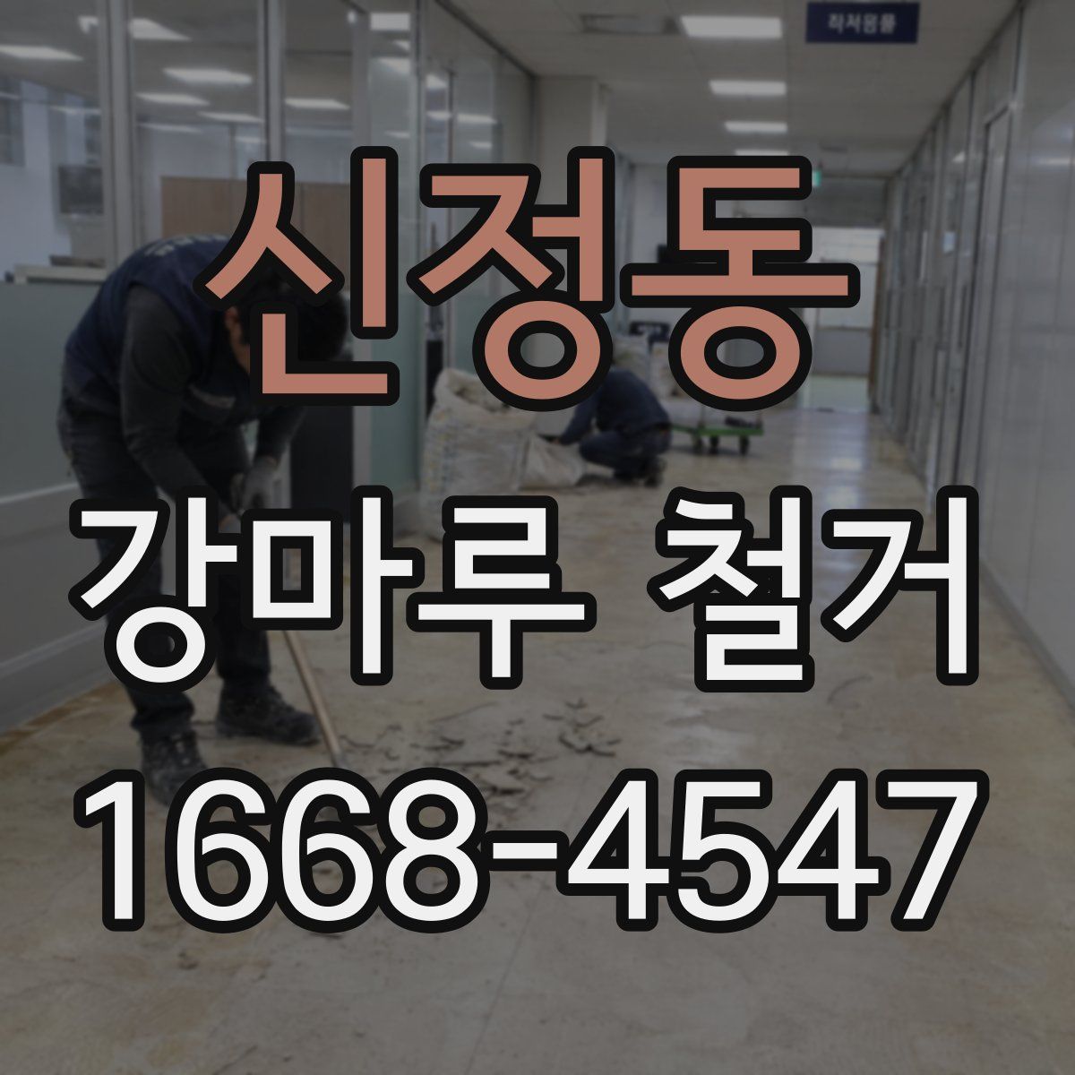 신정동 강마루 철거
