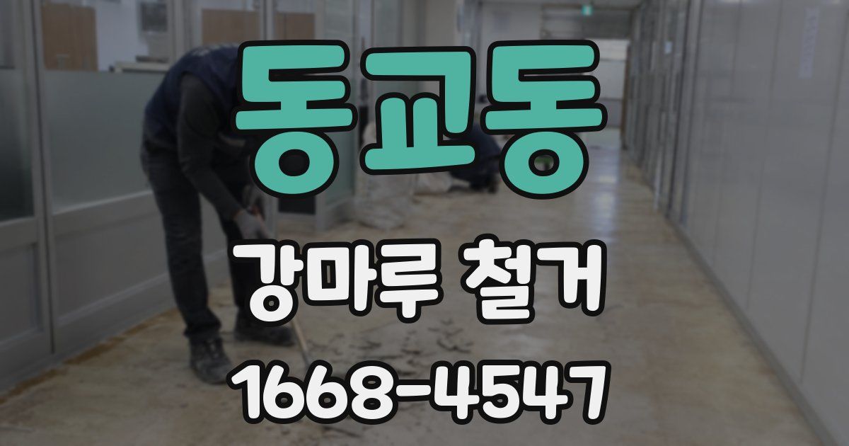 동교동 강마루 철거