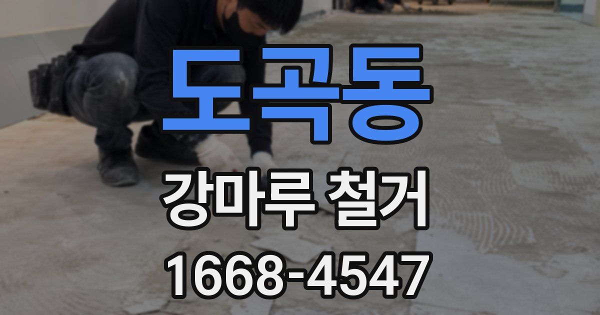 도곡동 강마루 철거