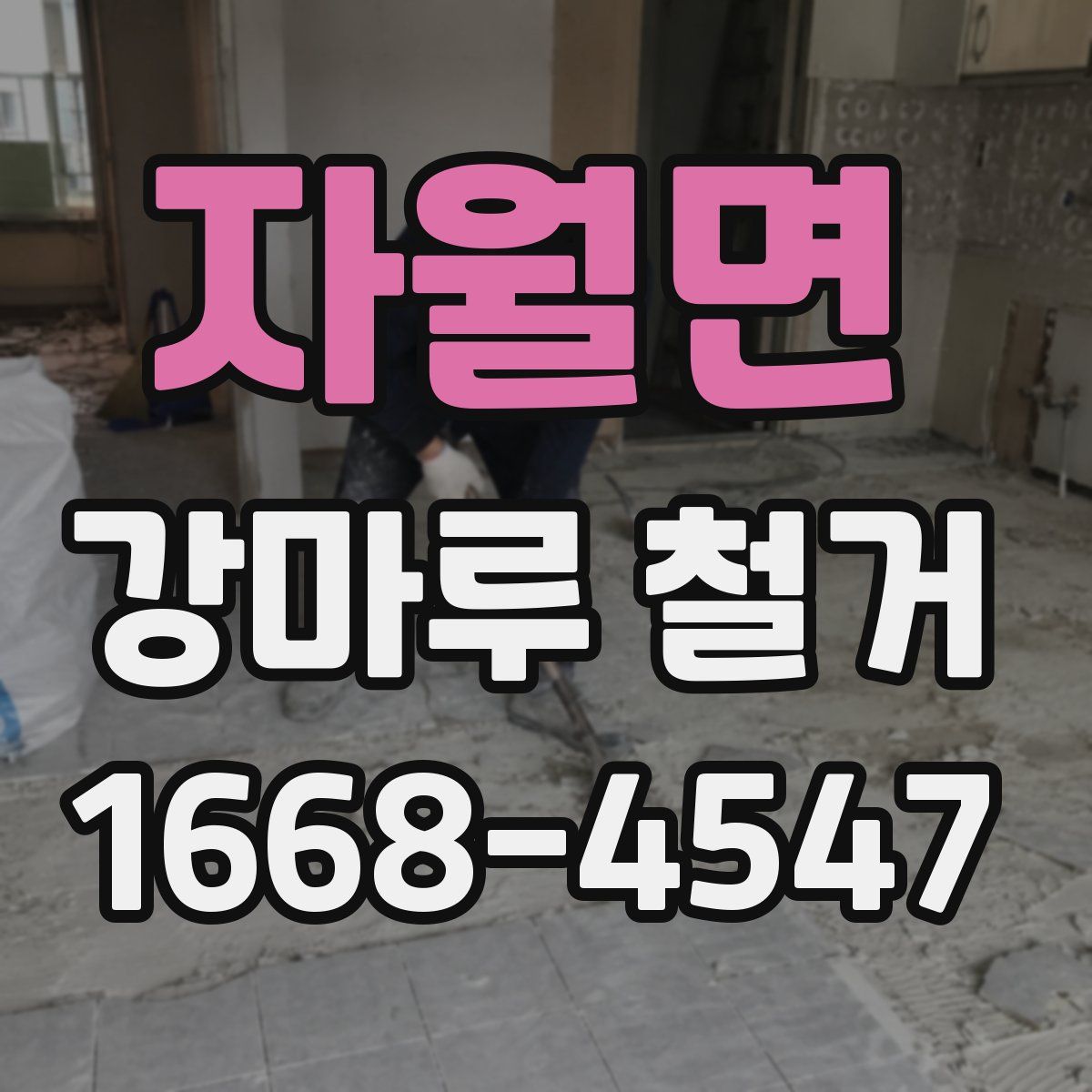 자월면 강마루 철거