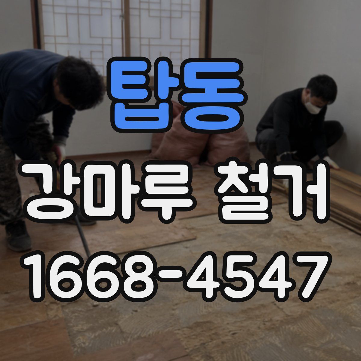 탑동 강마루 철거