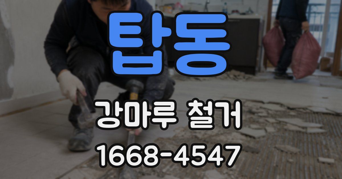 탑동 강마루 철거