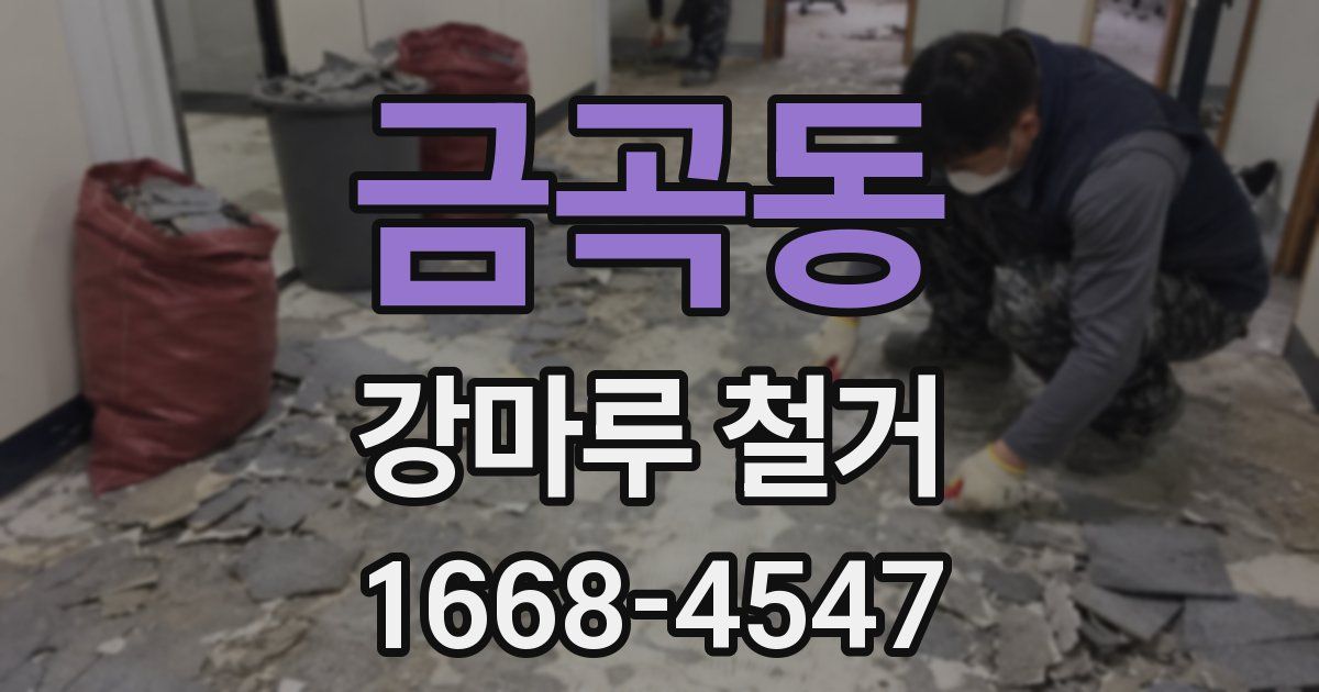 금곡동 강마루 철거