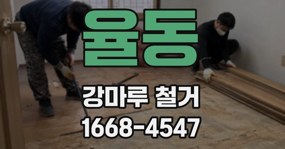 율동 강마루 철거