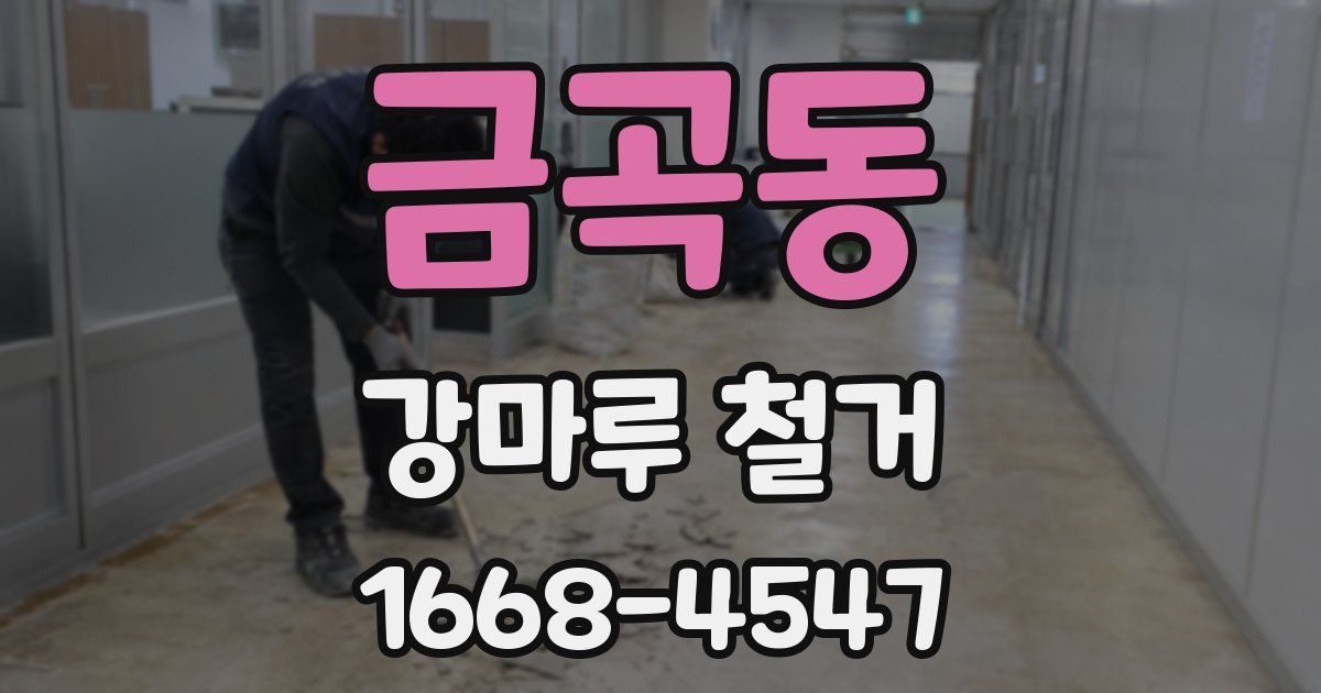 금곡동 강마루 철거