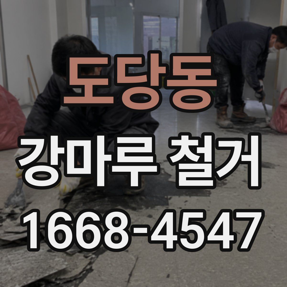 도당동 강마루 철거