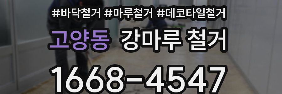 고양동 강마루 철거
