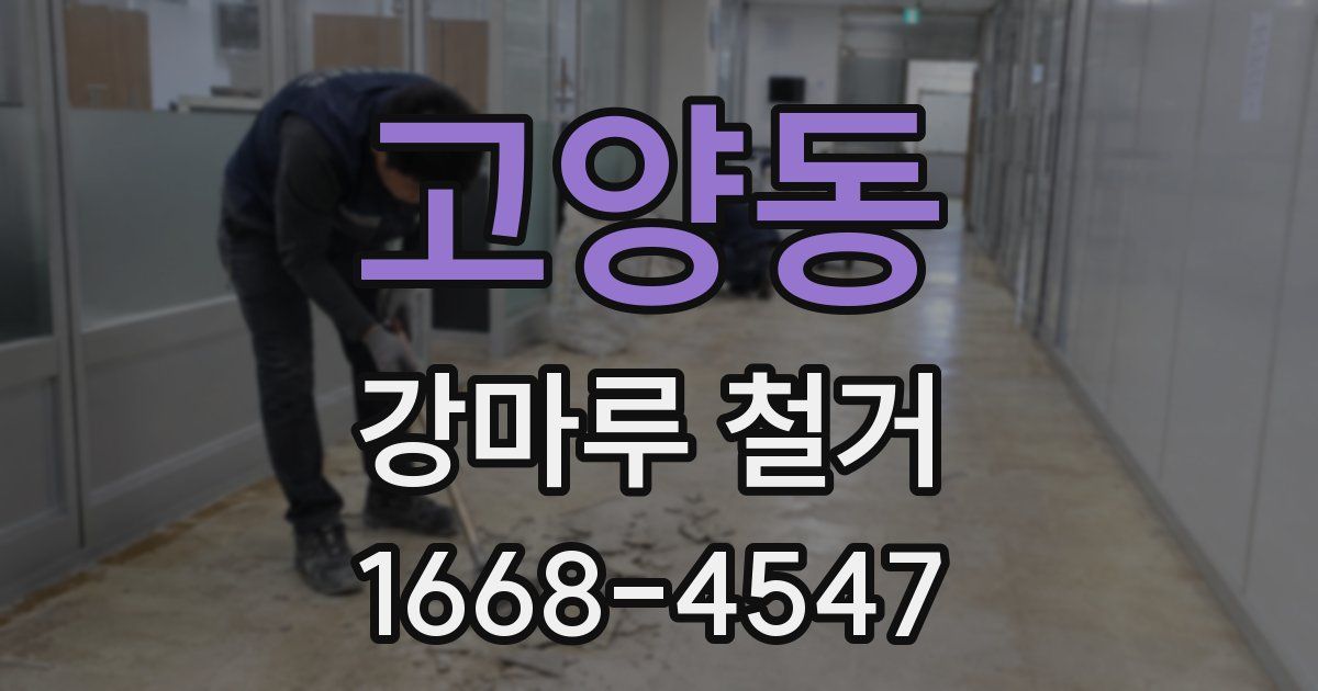 고양동 강마루 철거
