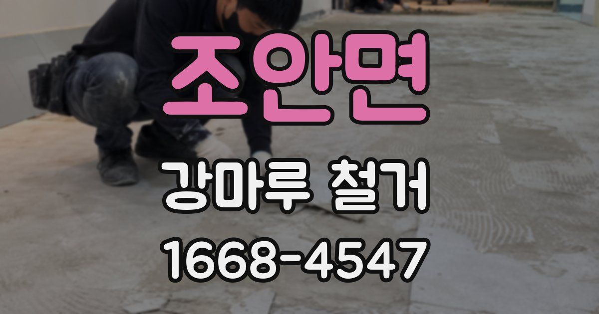 조안면 강마루 철거