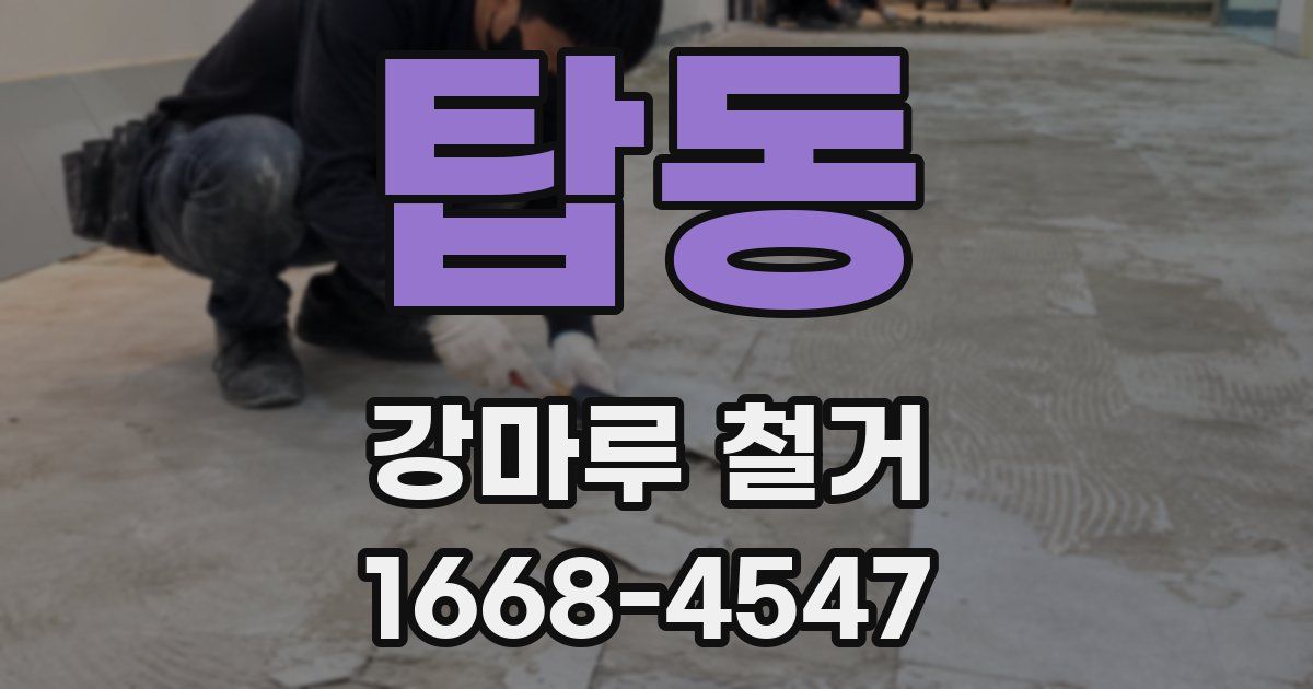 탑동 강마루 철거