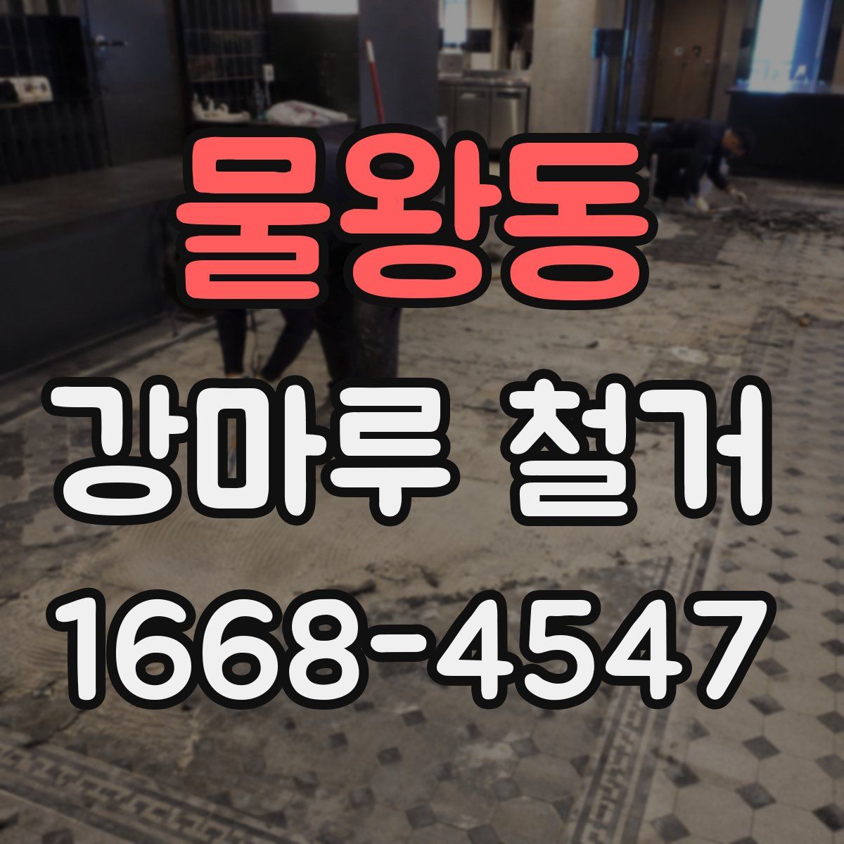 물왕동 강마루 철거