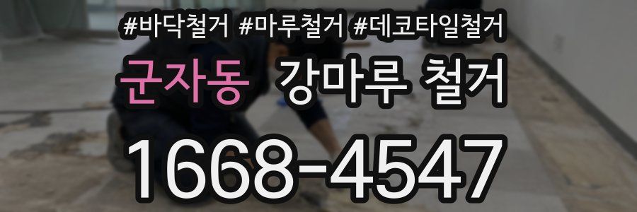 군자동 강마루 철거