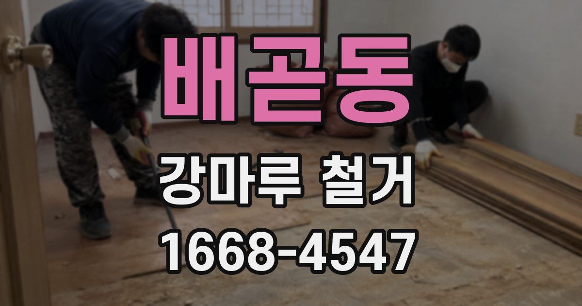배곧동 강마루 철거
