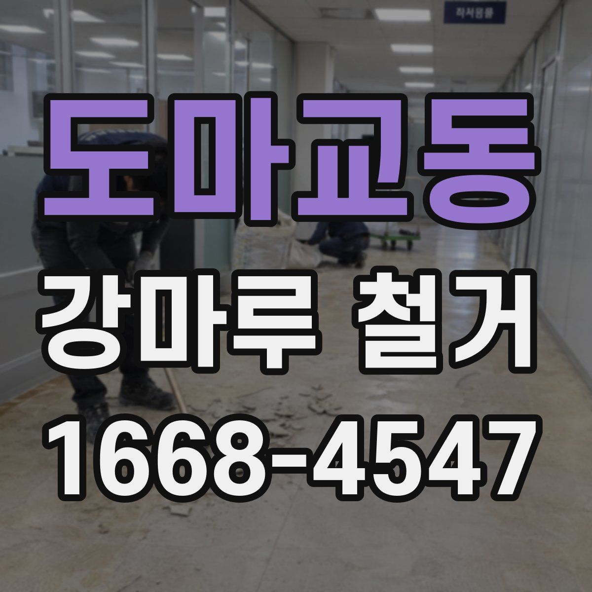 도마교동 강마루 철거