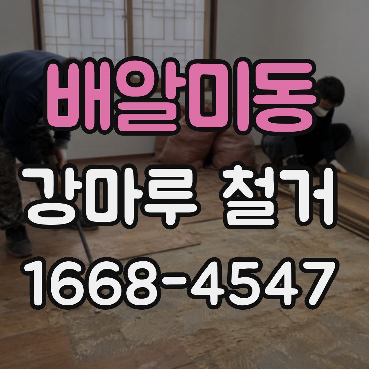배알미동 강마루 철거