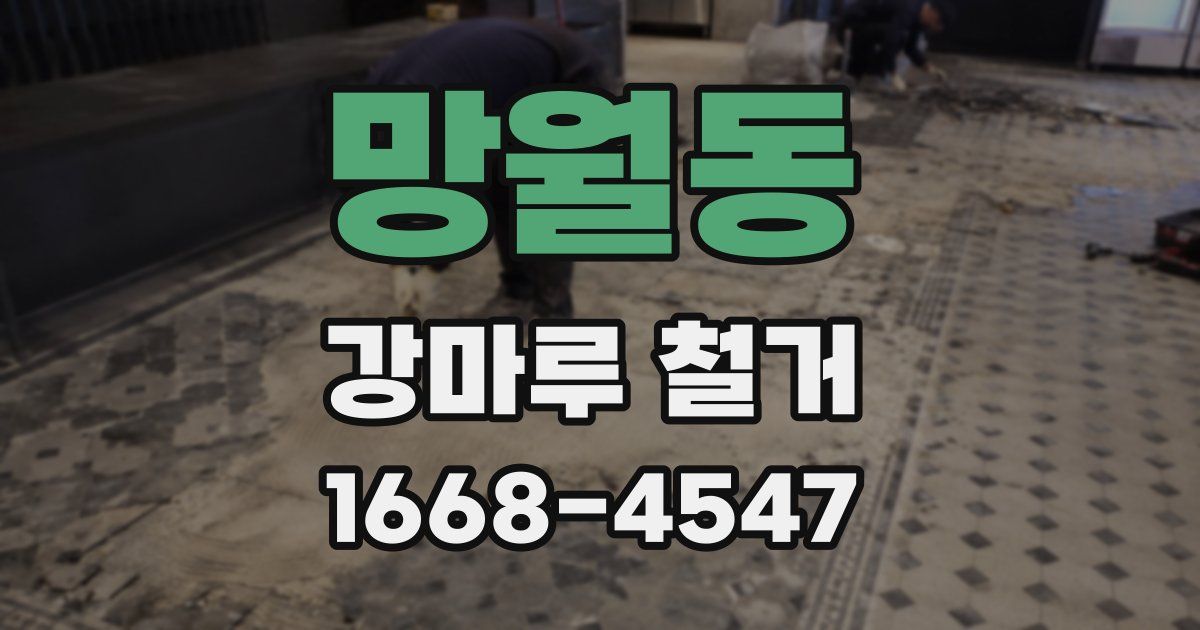 망월동 강마루 철거