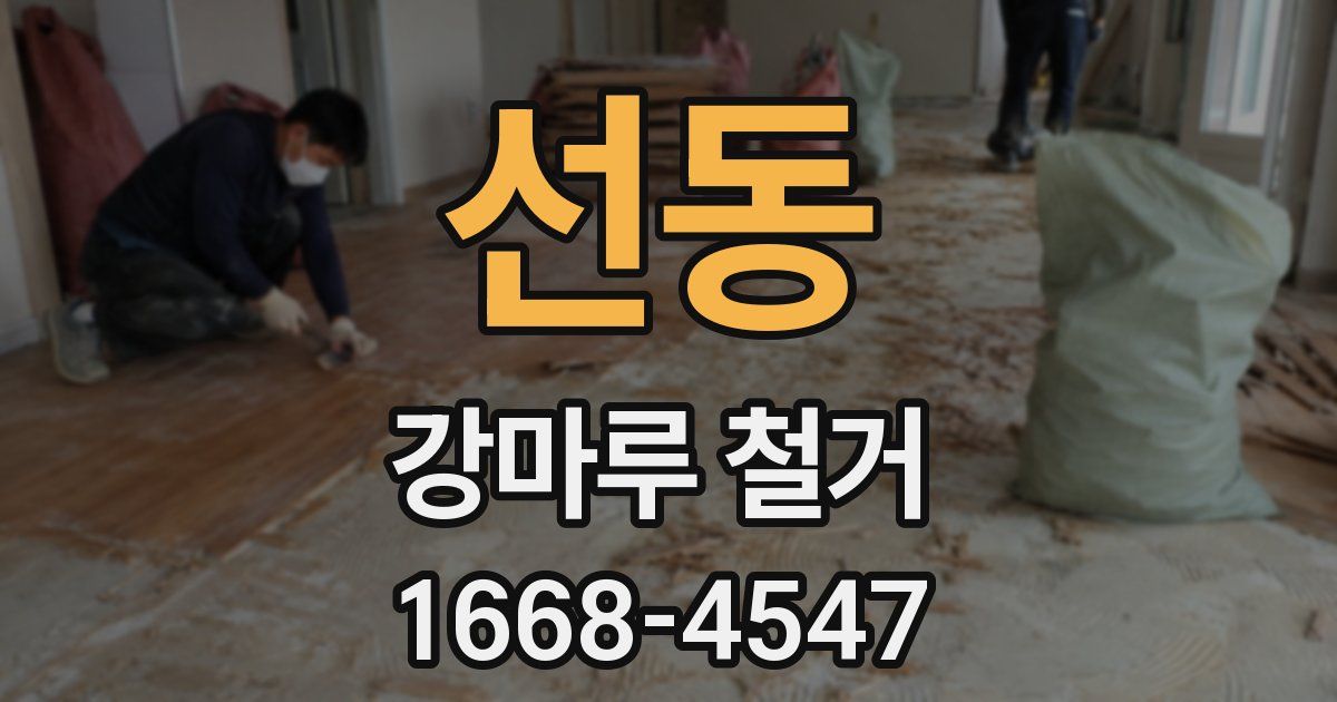 선동 강마루 철거