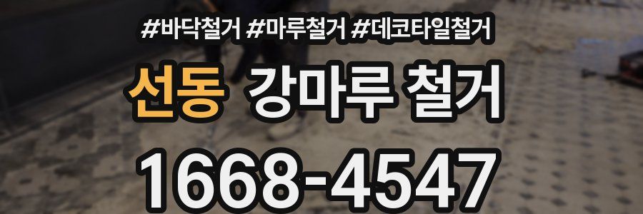 선동 강마루 철거