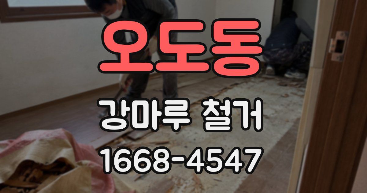 오도동 강마루 철거