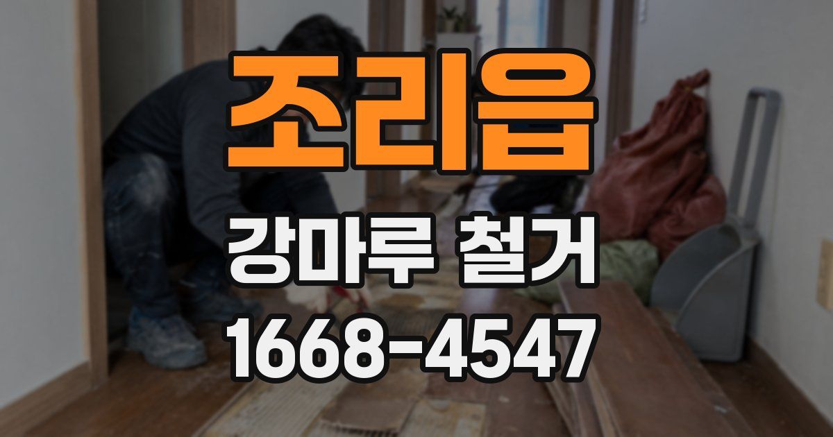 조리읍 강마루 철거