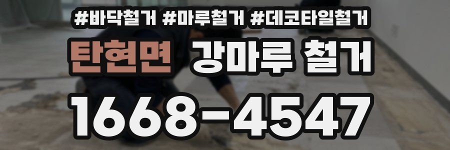탄현면 강마루 철거