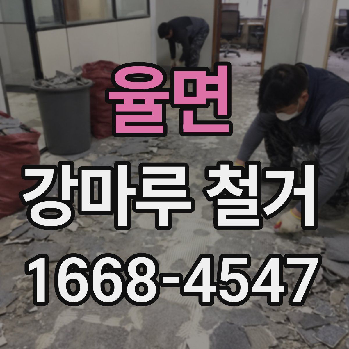 율면 강마루 철거