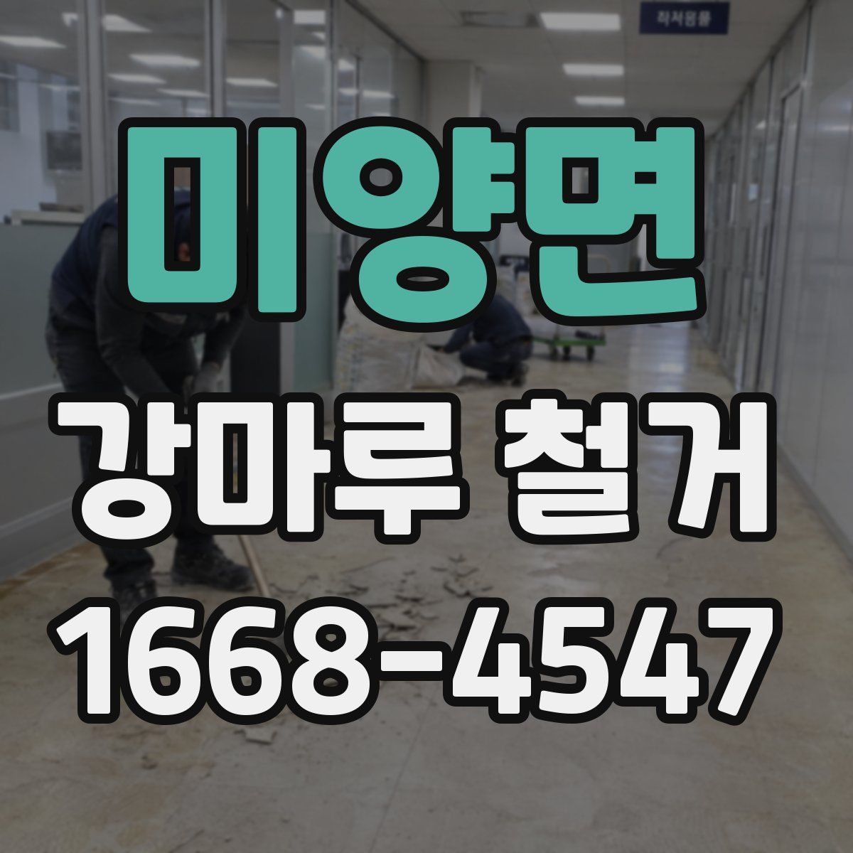 미양면 강마루 철거