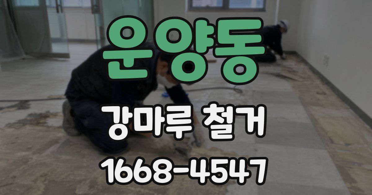 운양동 강마루 철거