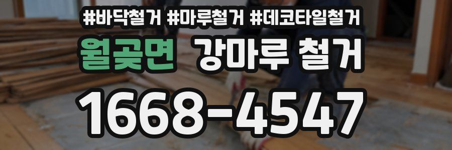 월곶면 강마루 철거