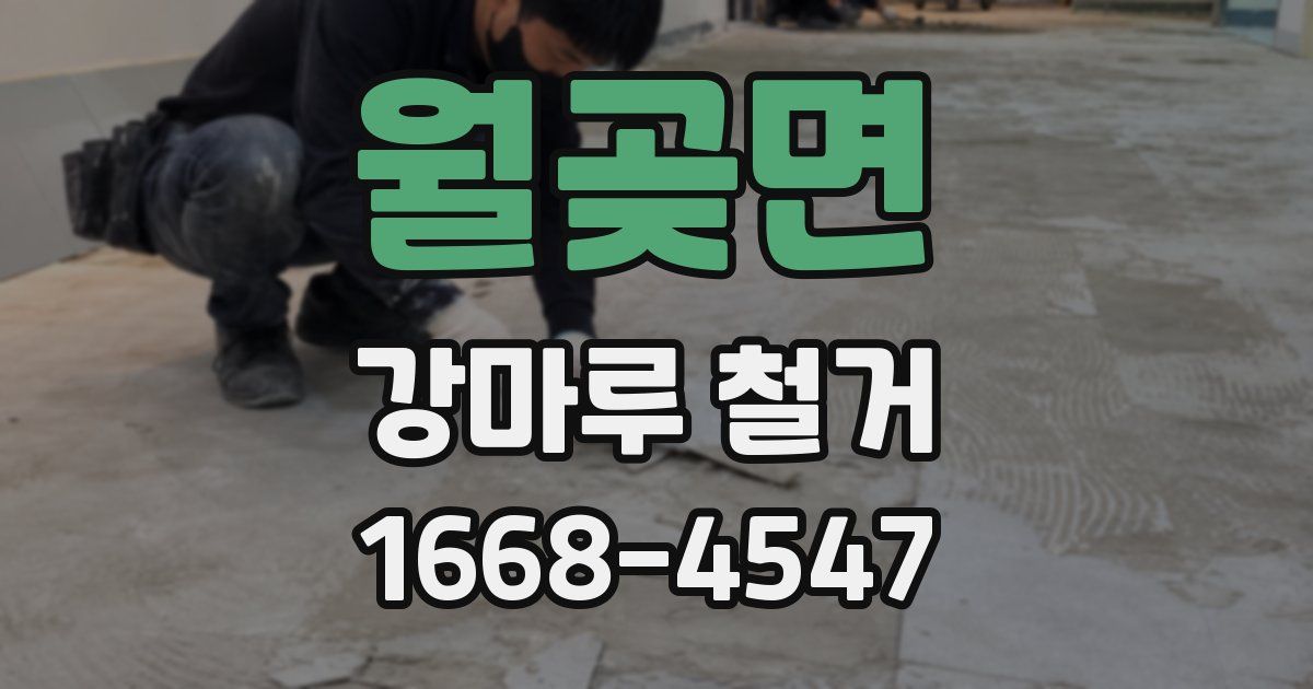 월곶면 강마루 철거