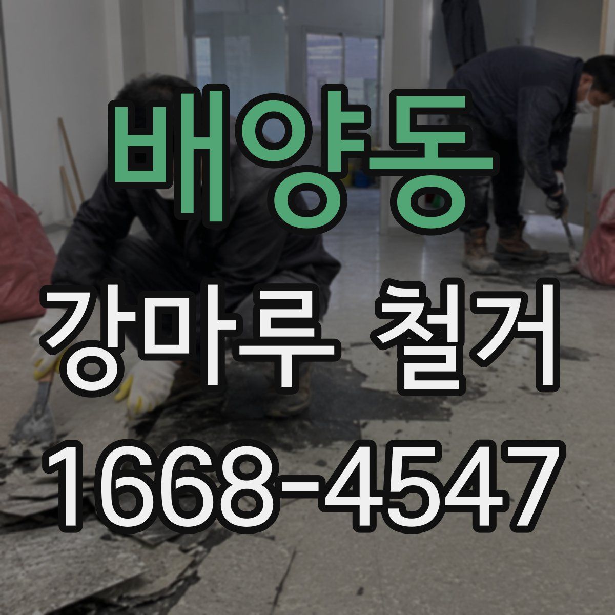 배양동 강마루 철거