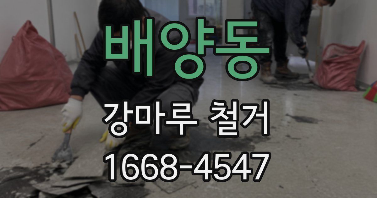 배양동 강마루 철거