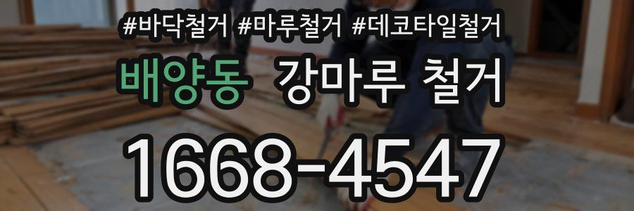 배양동 강마루 철거