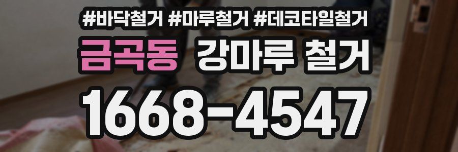 금곡동 강마루 철거
