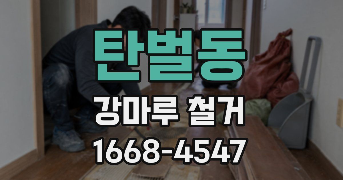 탄벌동 강마루 철거