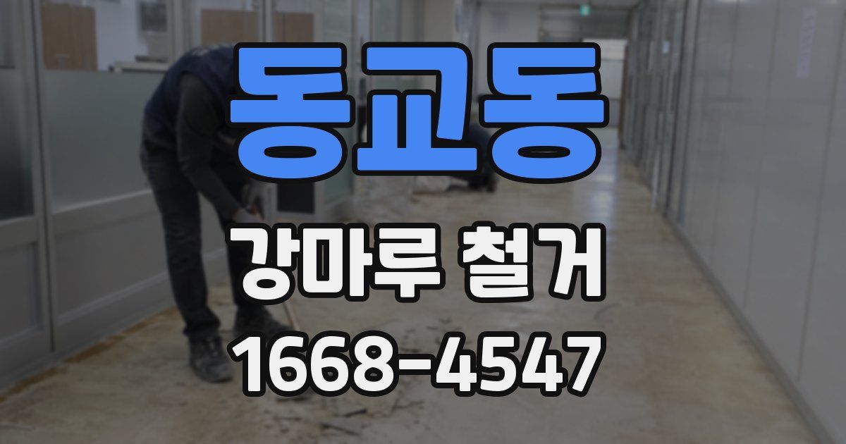 동교동 강마루 철거