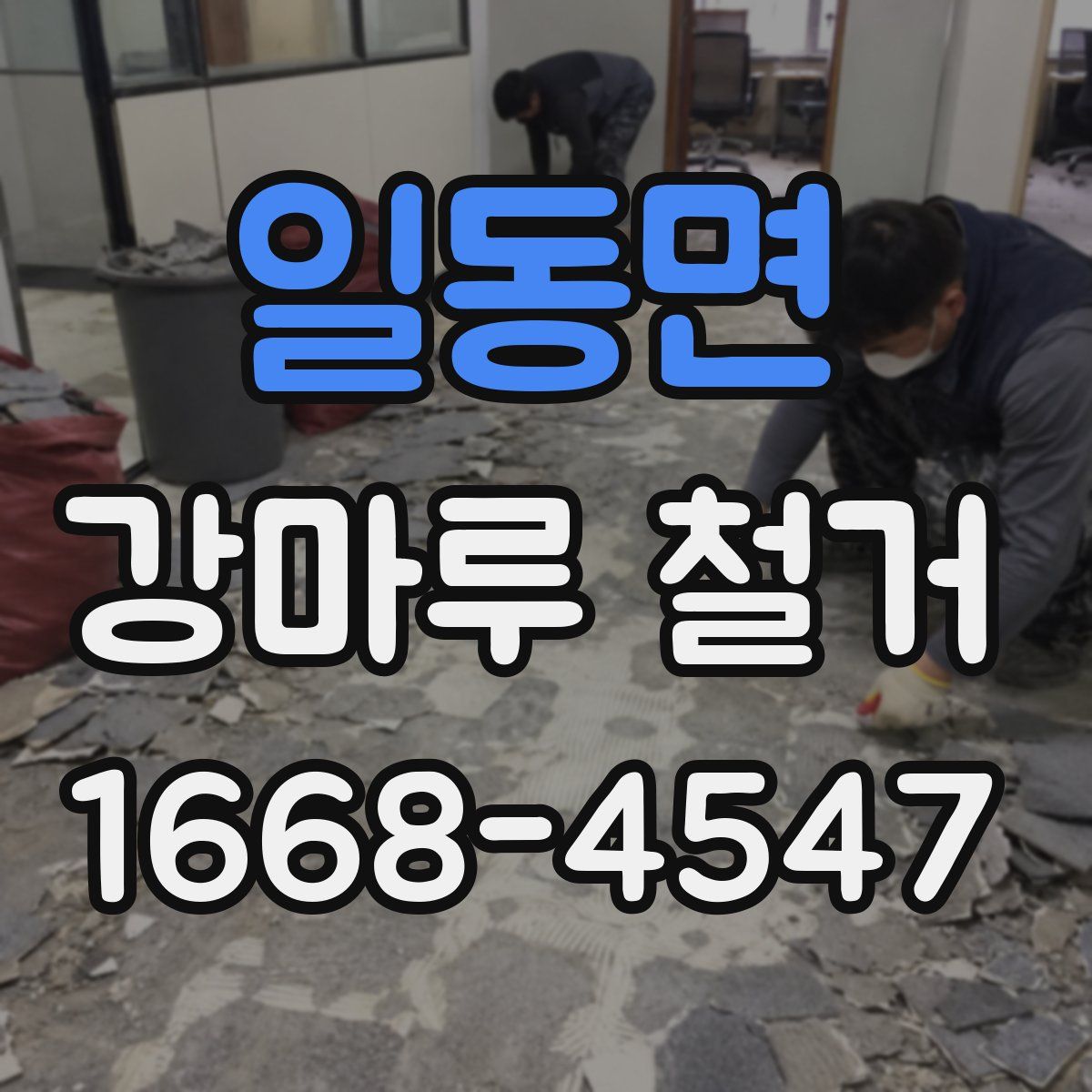일동면 강마루 철거