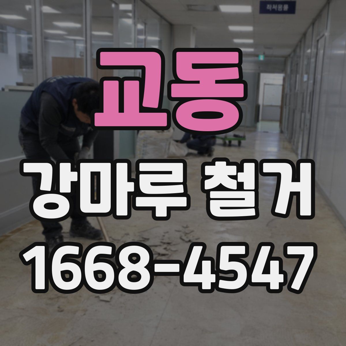교동 강마루 철거