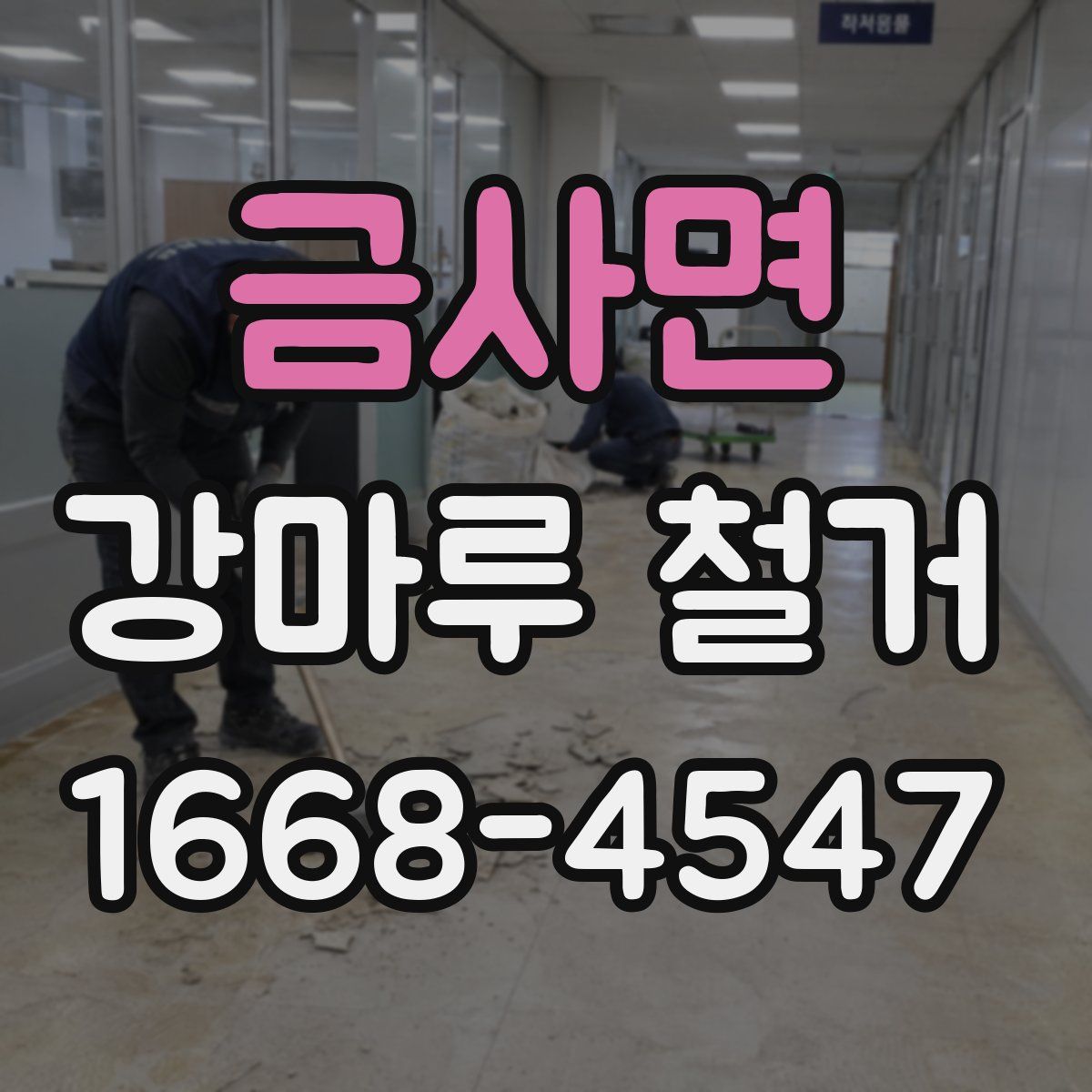 금사면 강마루 철거