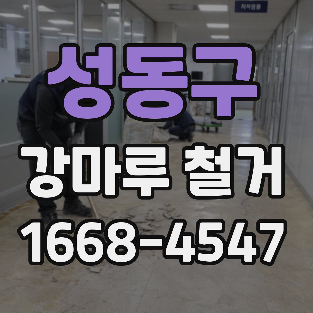 성동구 강마루 철거