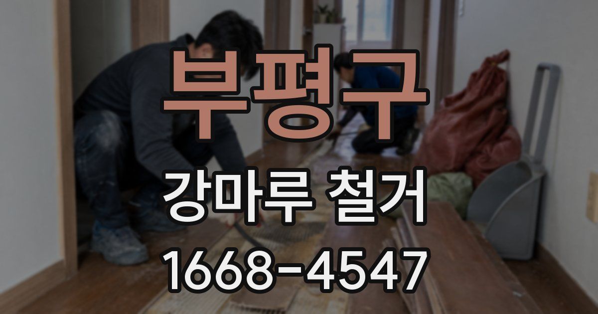 부평구 강마루 철거