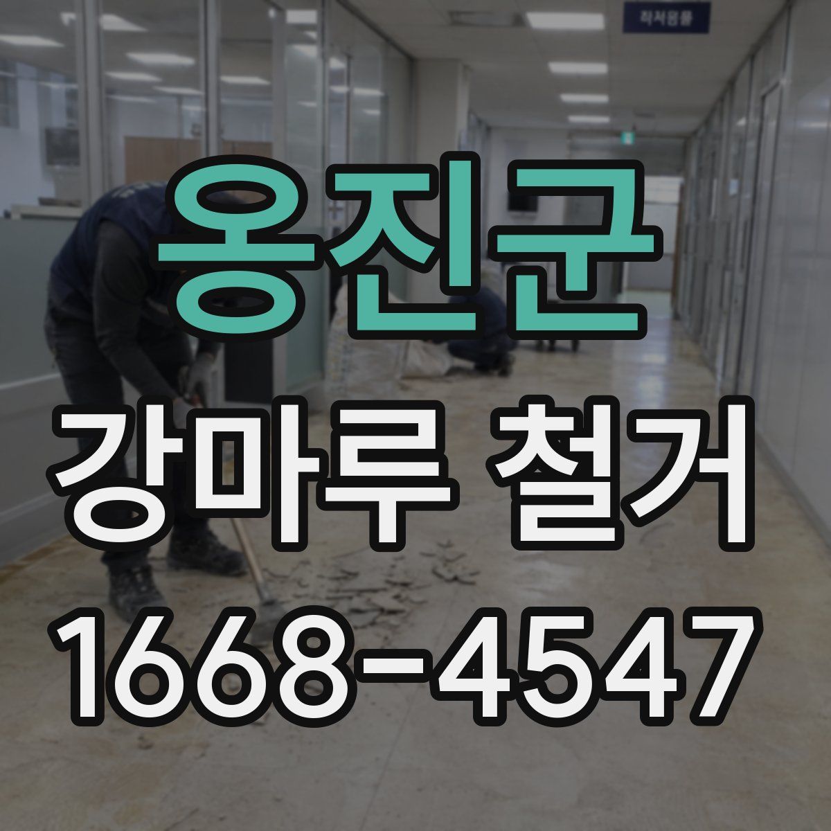 옹진군 강마루 철거