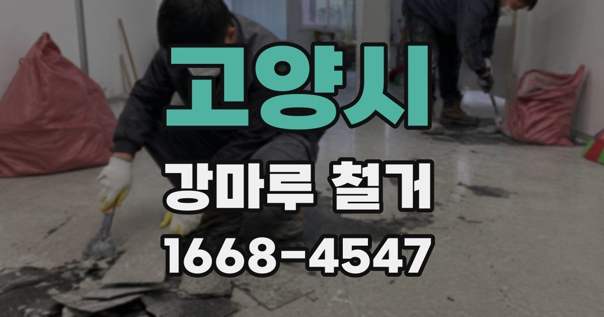 고양시 강마루 철거