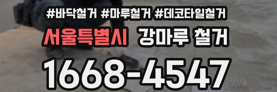 서울특별시 강마루 철거