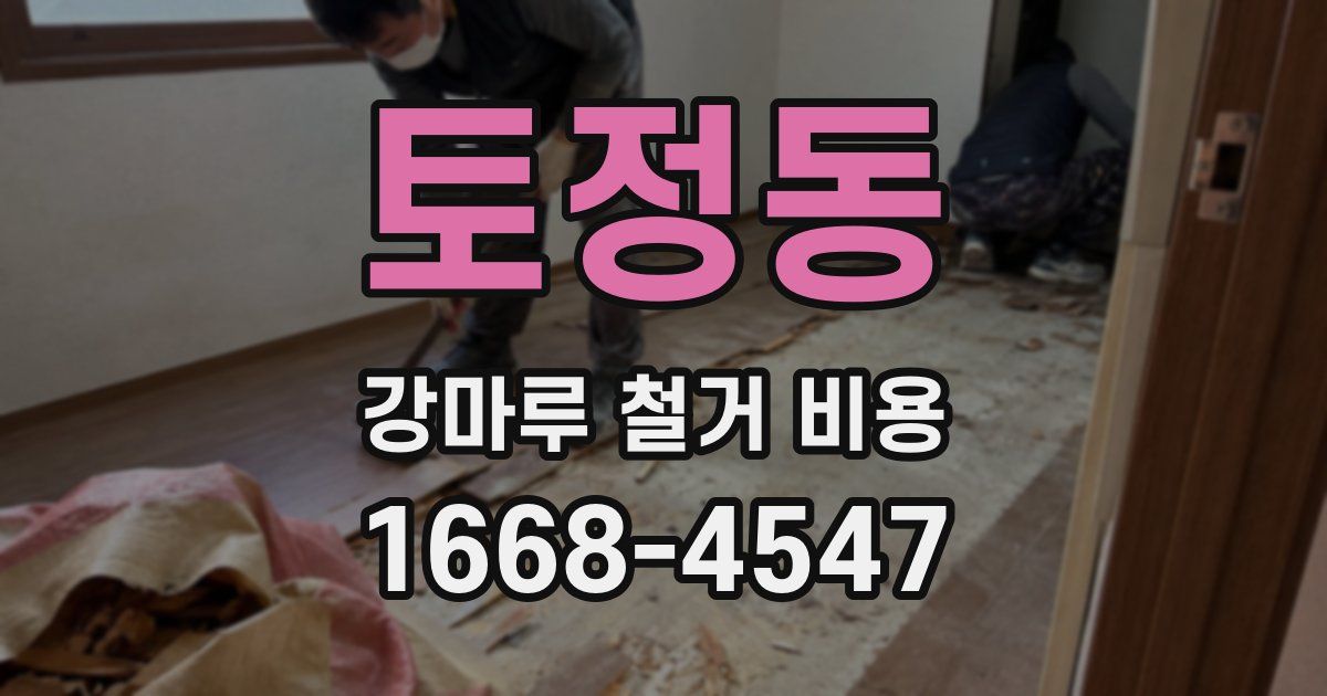 토정동 강마루 철거 비용