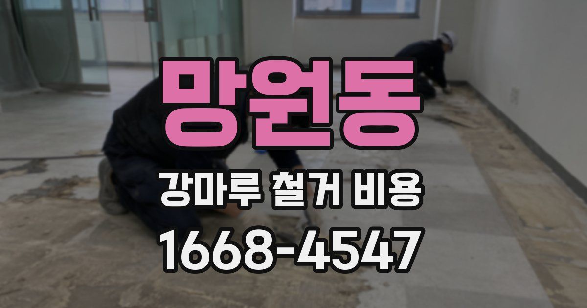 망원동 강마루 철거 비용