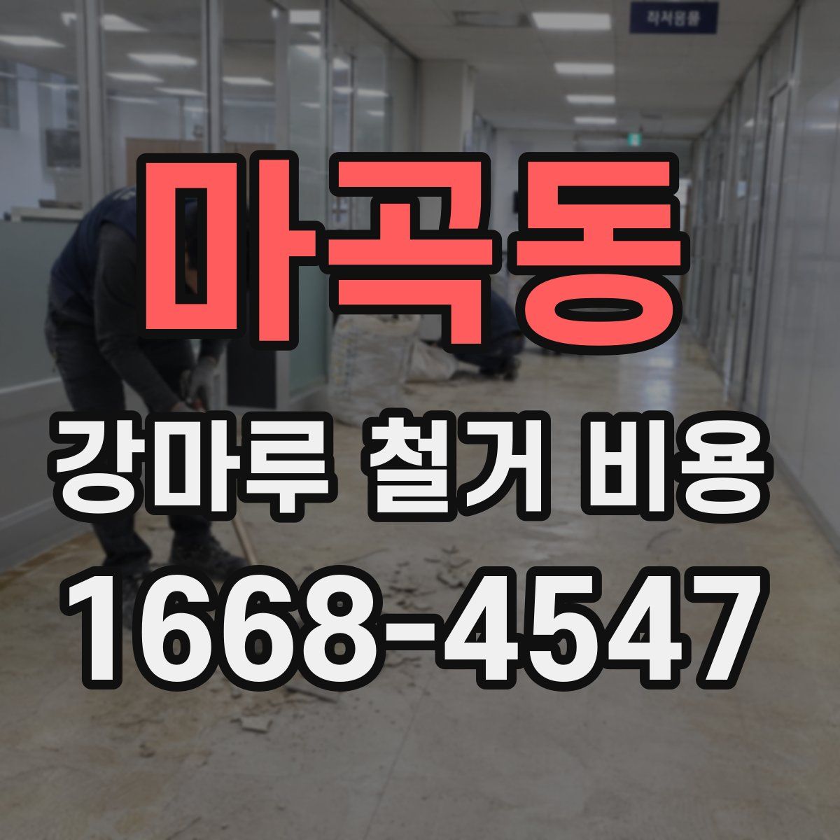 마곡동 강마루 철거 비용